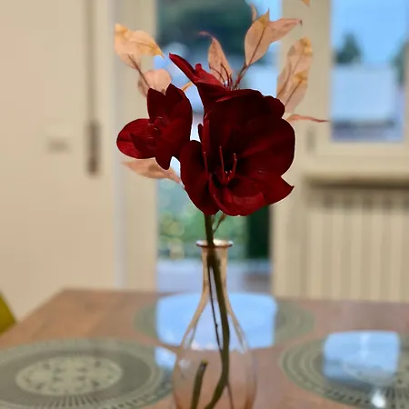 Pensjonat Fil Rouge Ciampino